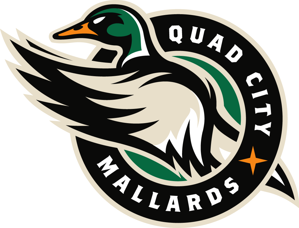 quad city mallards 2014-pres primary logo iron on transfers for T-shirts